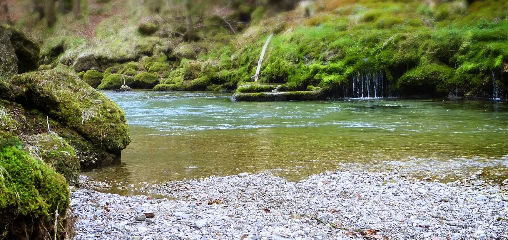 fluss-im-wald.12.656317ec011ac