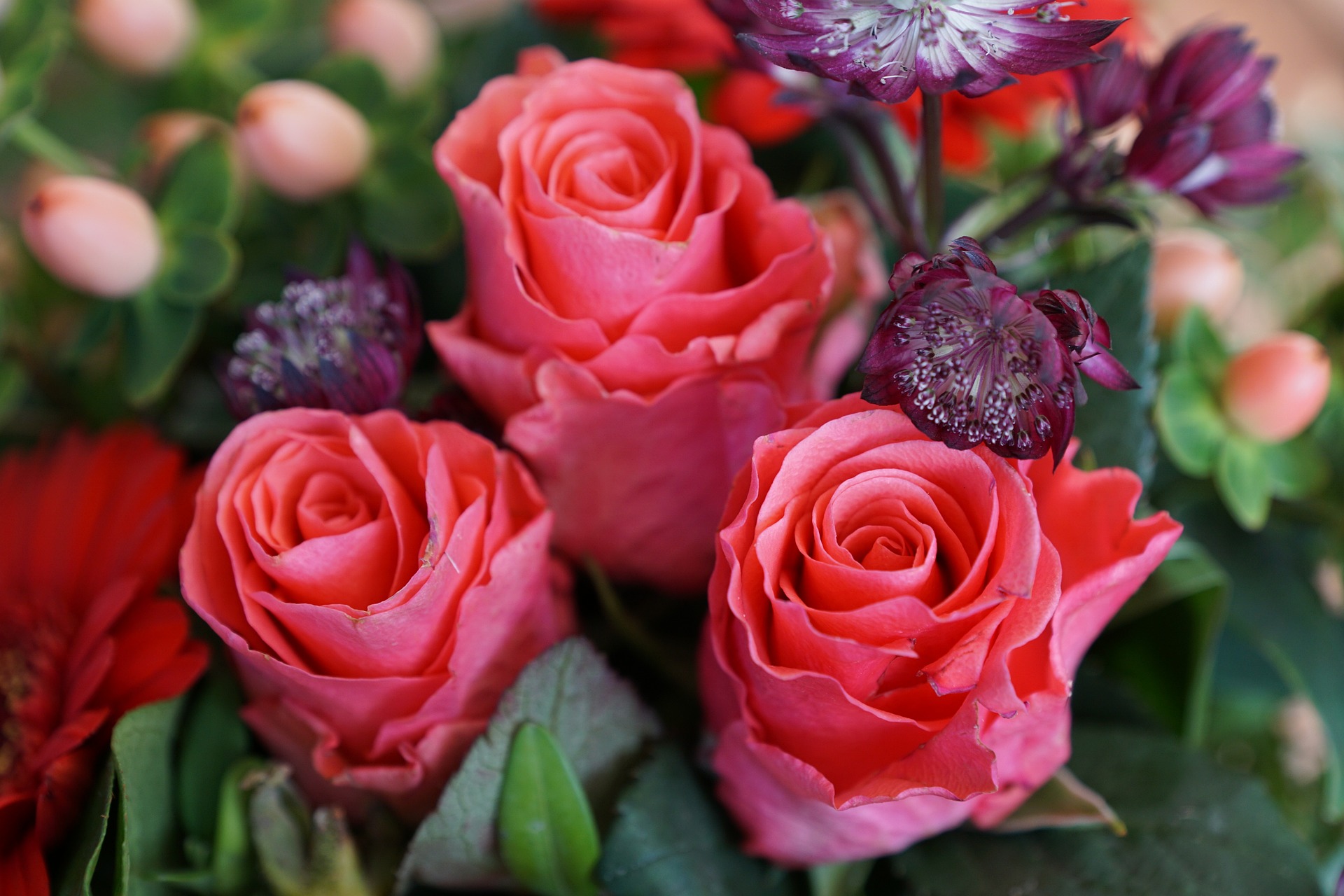 hellrote-rosen-bouket